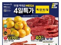 홈플러스 4일 특가, 롯데마트 땡큐절 4주차 외 (11/21~27)