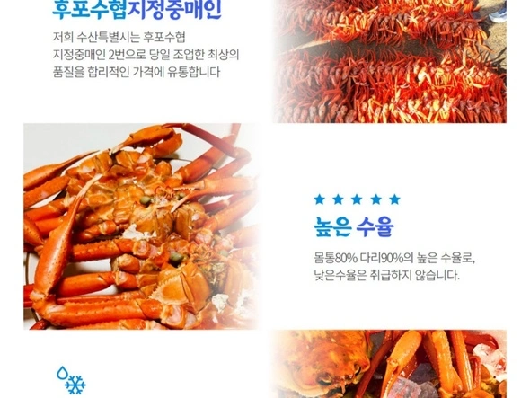 자숙 박달홍게 A급 4kg 8~10미(27,000원 / 무료)