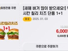 앱에서 단품 3종 주문시 1+1 (1/1~3)