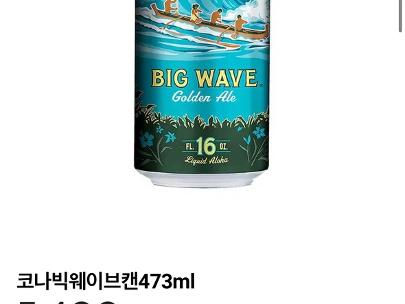 코나 빅웨이브 6캔