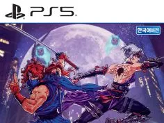 닌자 가이덴 레이지바운드 스페셜 에디션