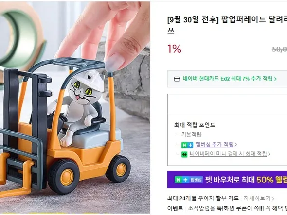 현장냥이 좋았쓰 예판 49,500원