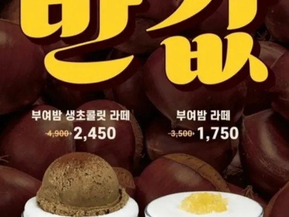 부여밤 생초콜릿 라떼 신규메뉴